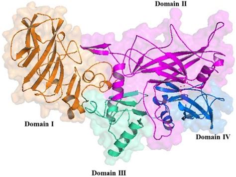 Anthrax Protective Antigen IgG ELISA (SE120147)